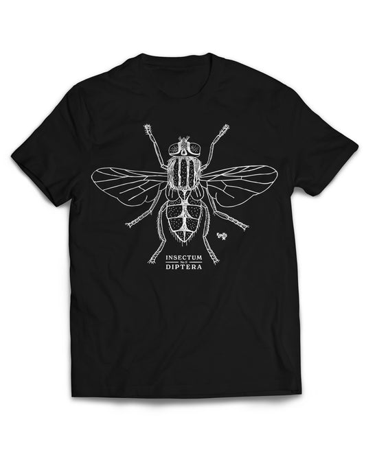 Insectum No2 Diptera